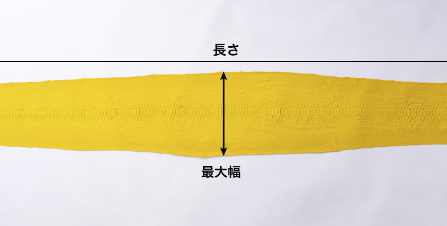 ヘビ革の価格の説明