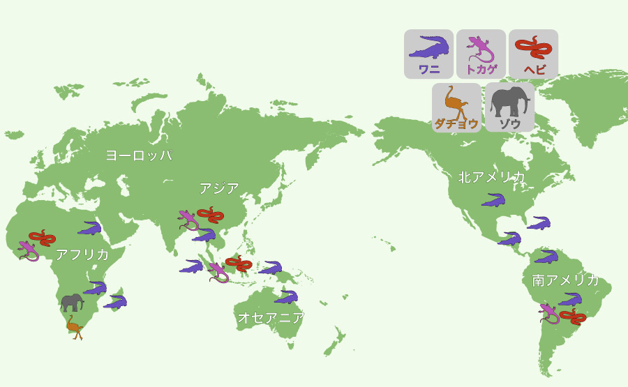 爬虫類等革の原産国紹介