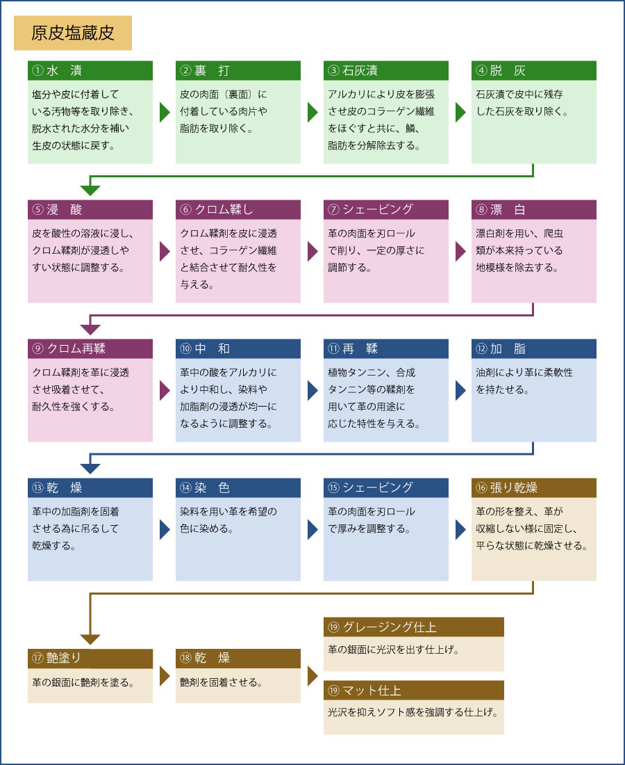 爬虫類革のできる迄まとめイメージ