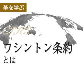 ワシントン条約について知る