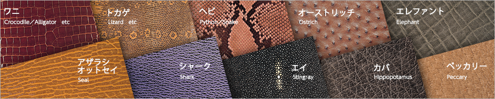 エキゾチックレザーを一覧で見る