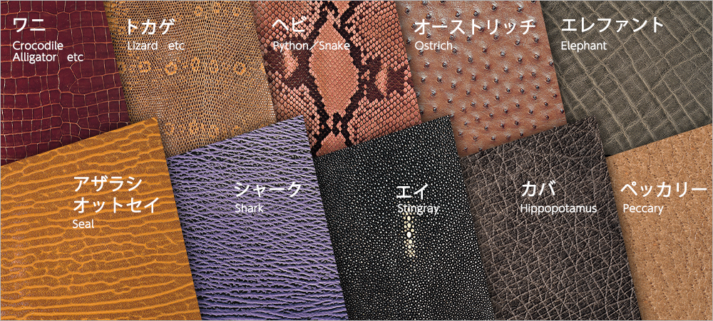 エキゾチックレザーを一覧で見る