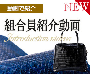 全日本爬虫類皮革産業協同組合員を動画で紹介しています